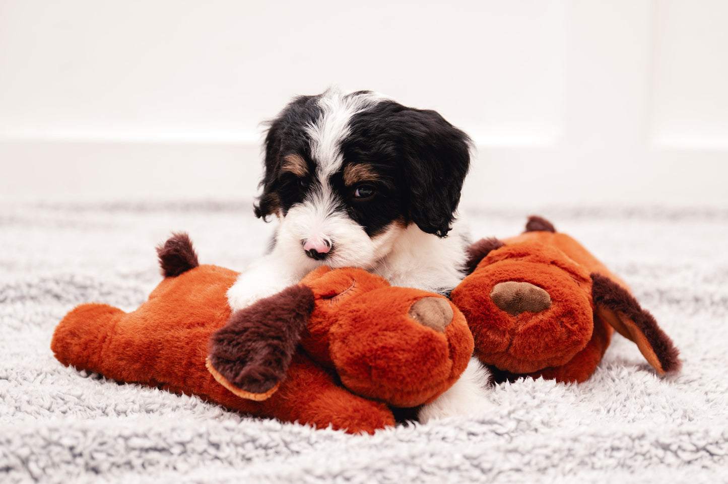 4 - Puppy Pal - Puppy Heartbeat Comfort Transition Toy
