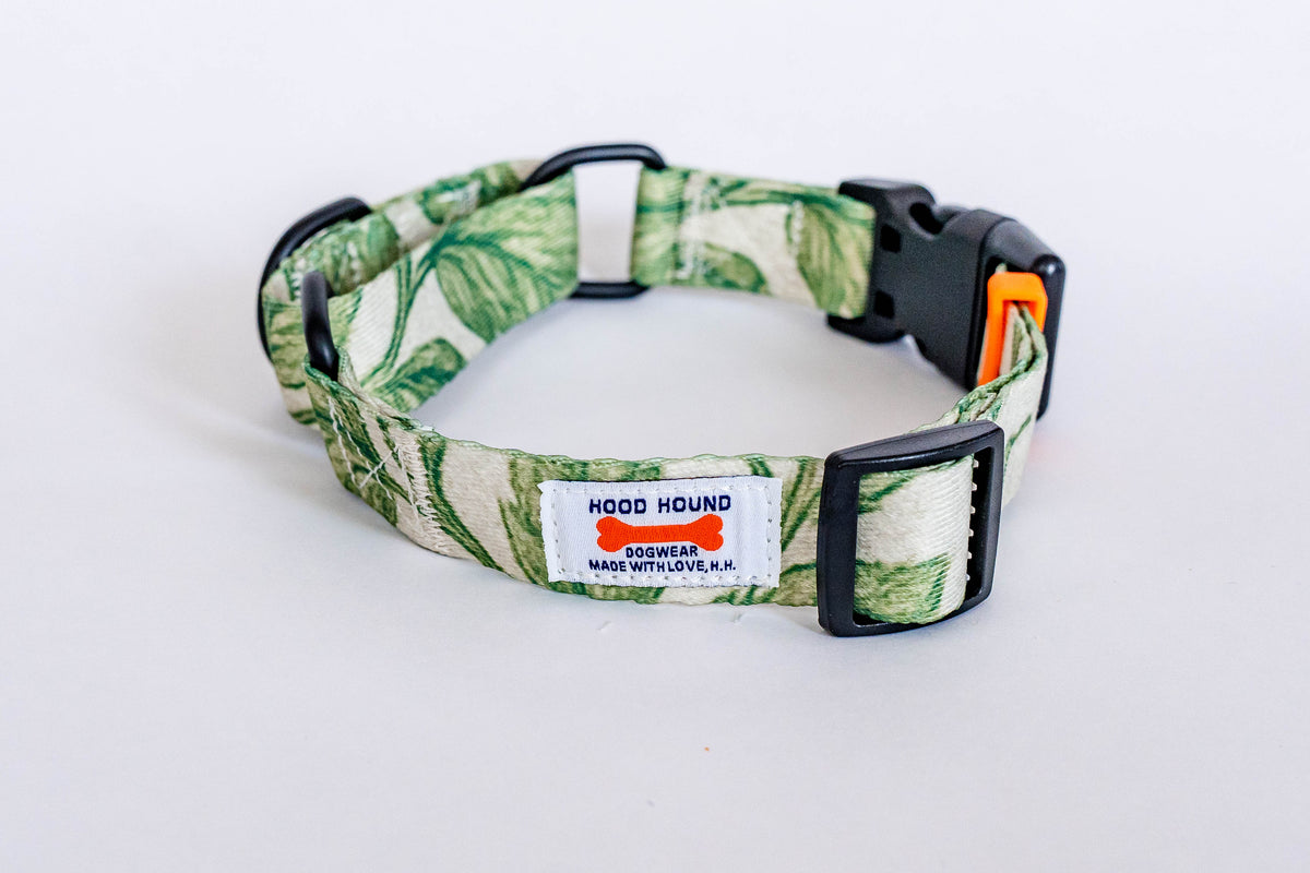 Off the Vine Martinglae Dog Collar