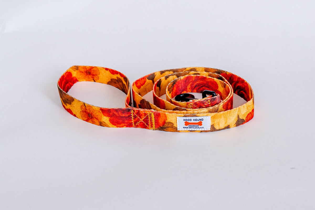 Santa Rosa Dog Leash