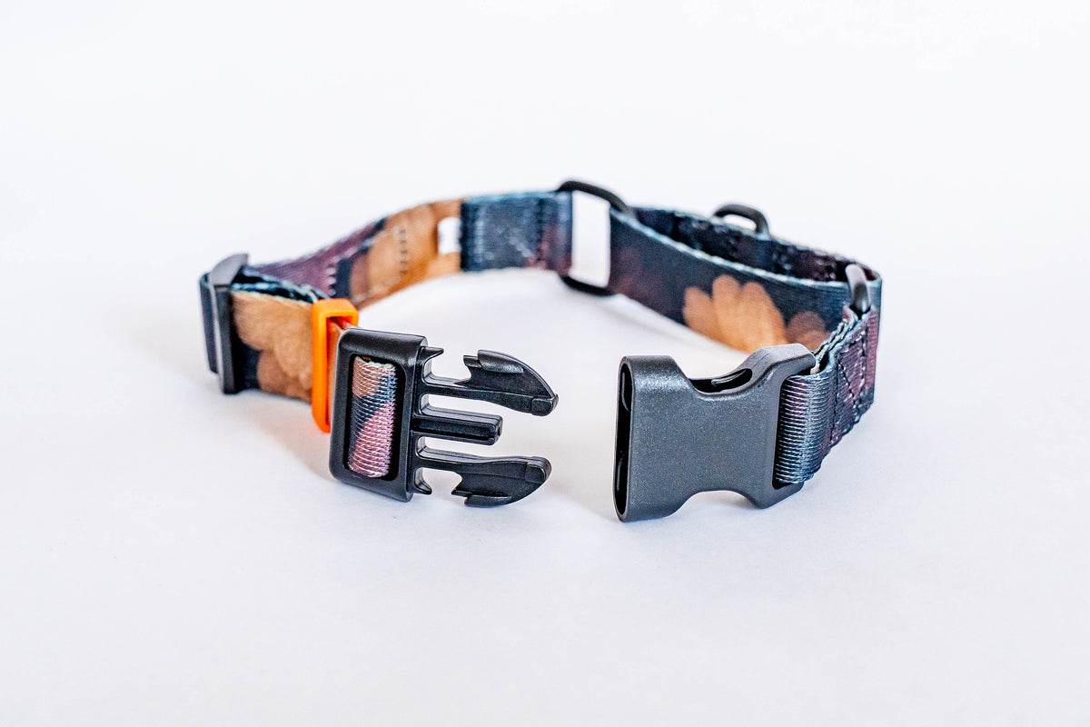 Wedding Cake Martingale Dog Collar