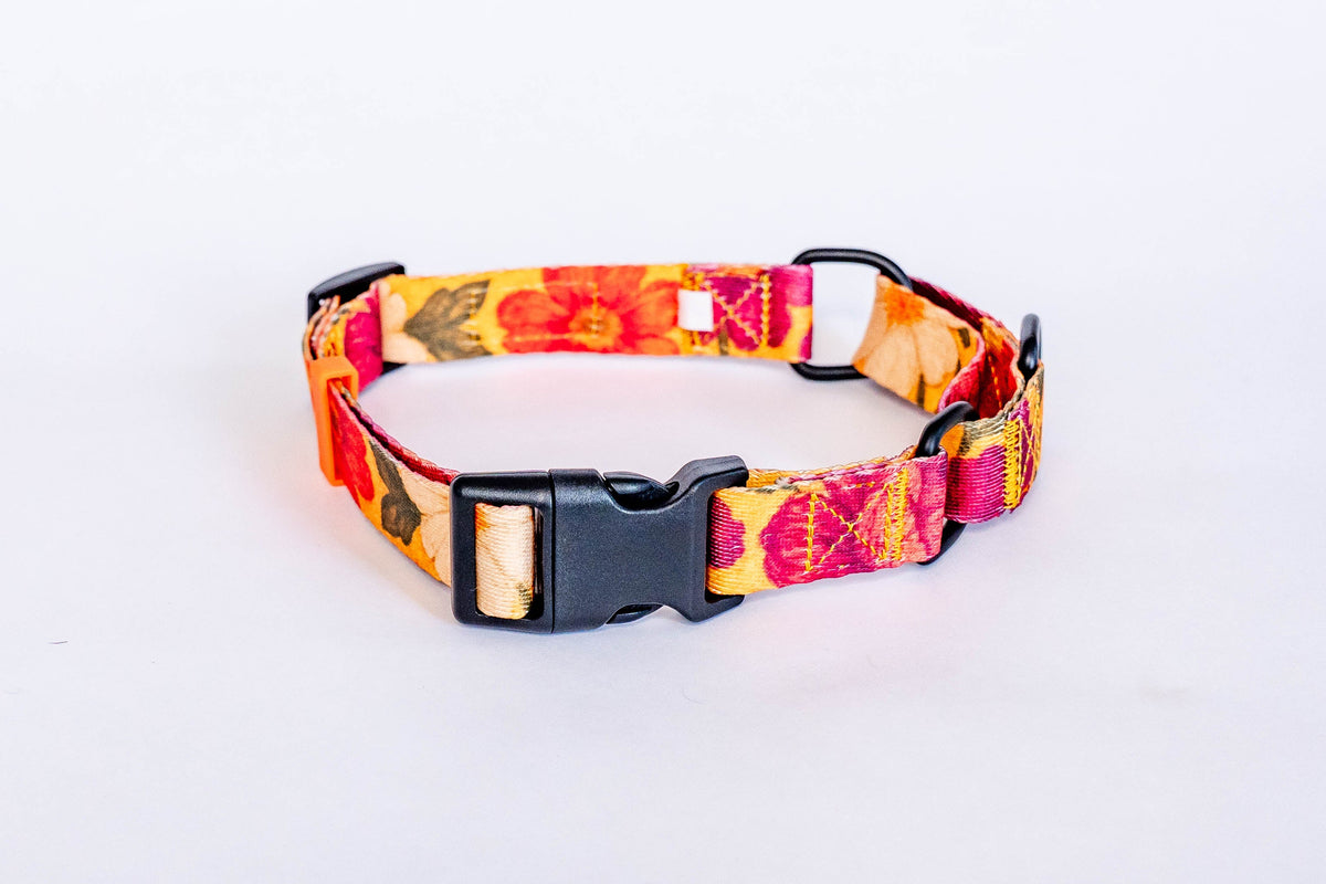 PYT Martingale Dog Collar