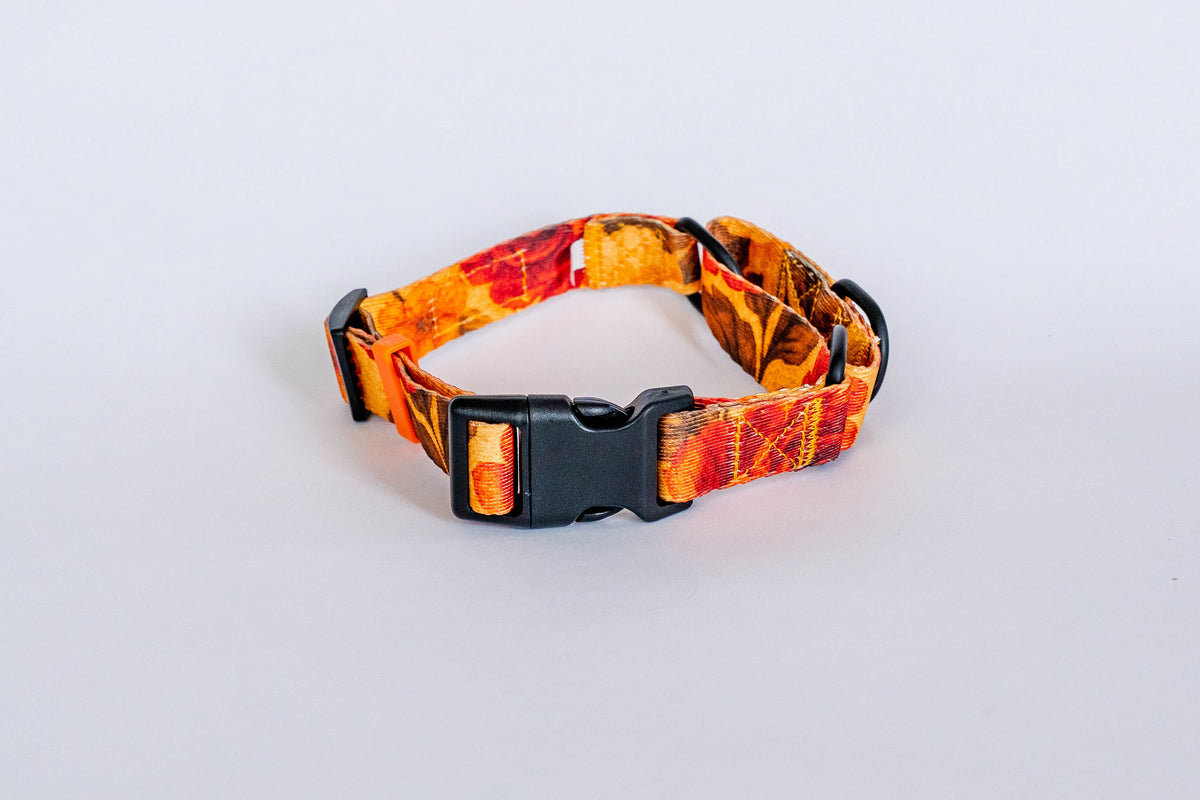 Santa Rosa Martingale Dog Collar