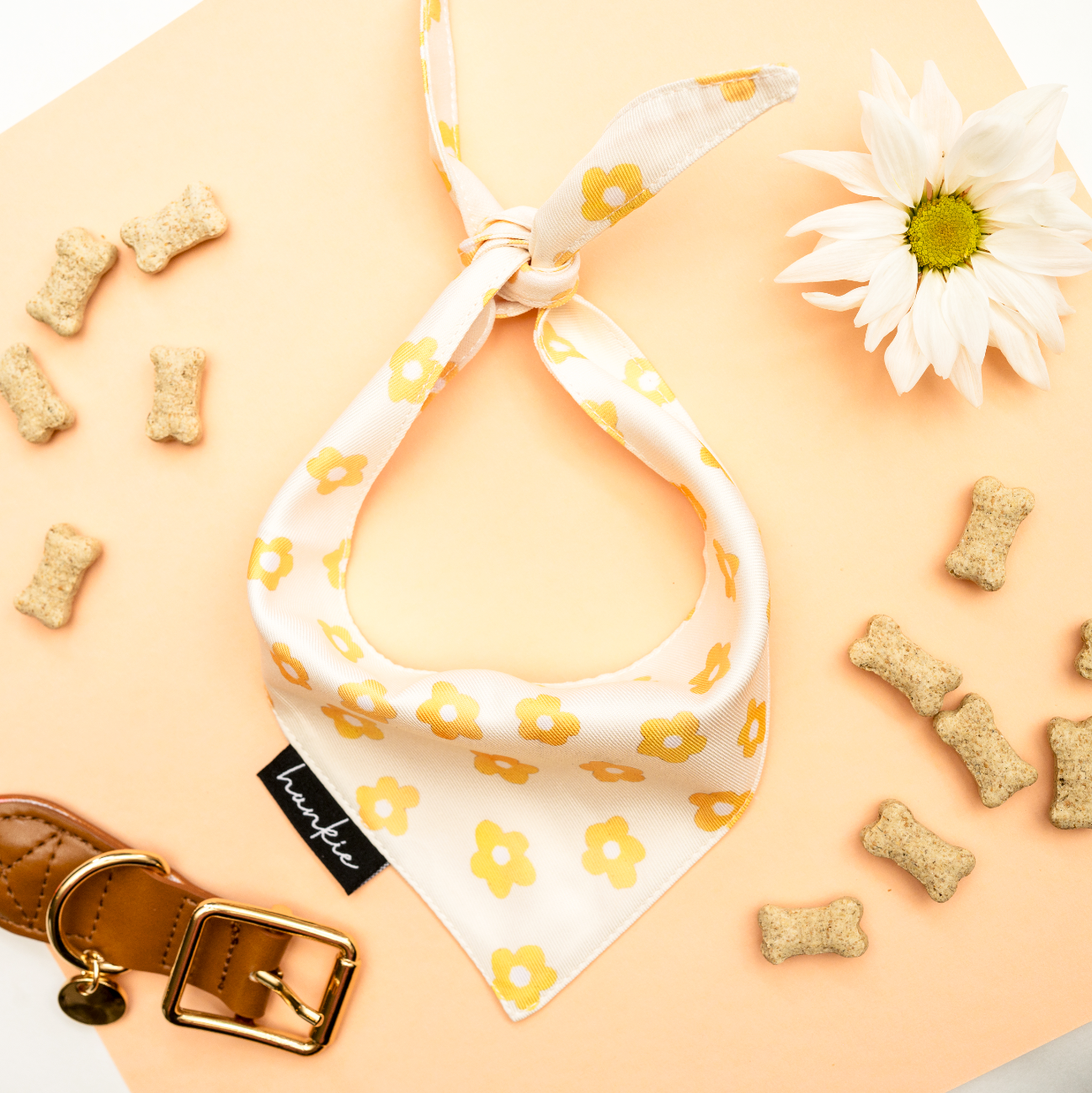 Hankie Dog Bandanas - Collection 1