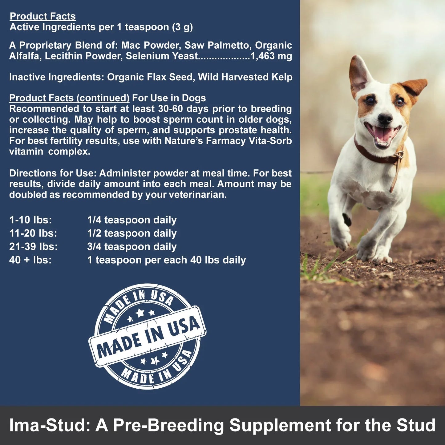 10 - IMA STUD -Stud Supplement