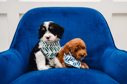 Augusta Dog Bandana – Hankie Series
