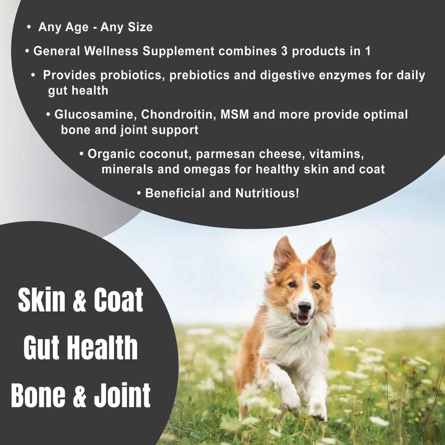 Dogzymes Complete Daily Supplement