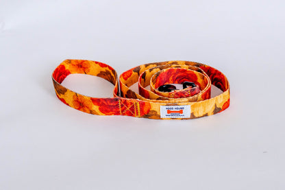 Santa Rosa Dog Leash