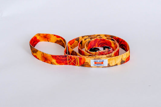 Santa Rosa Dog Leash