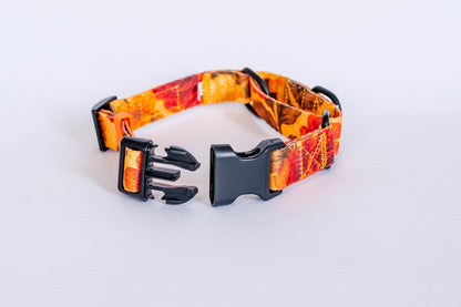 Santa Rosa Martingale Dog Collar