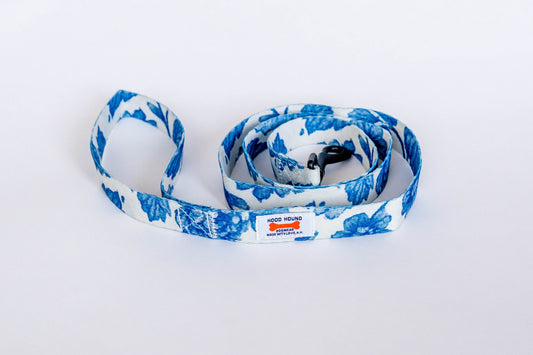 Blue Dream Dog Leash