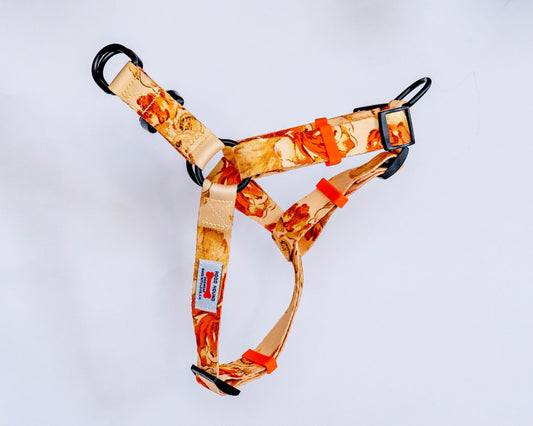 Indigo Honey No-Pull Dog Harness