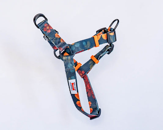 Grandma’s Couch No-Pull Dog Harness