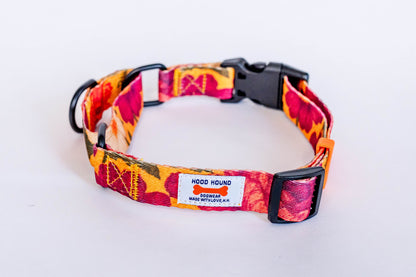 PYT Martingale Dog Collar