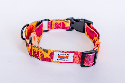 PYT Martingale Dog Collar