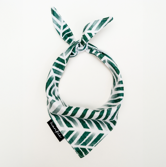 Augusta Dog Bandana – Hankie Series