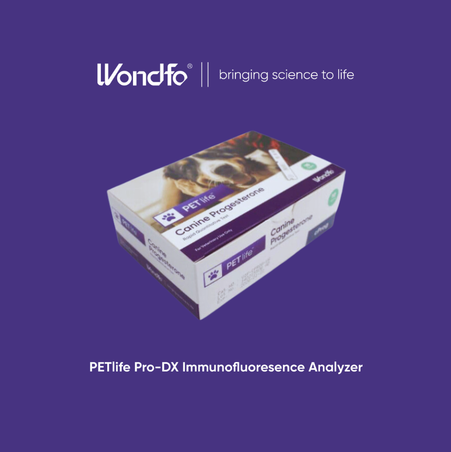 3- Progesterone Tests 10 pack