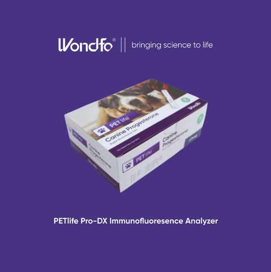 3- Progesterone Tests 10 pack