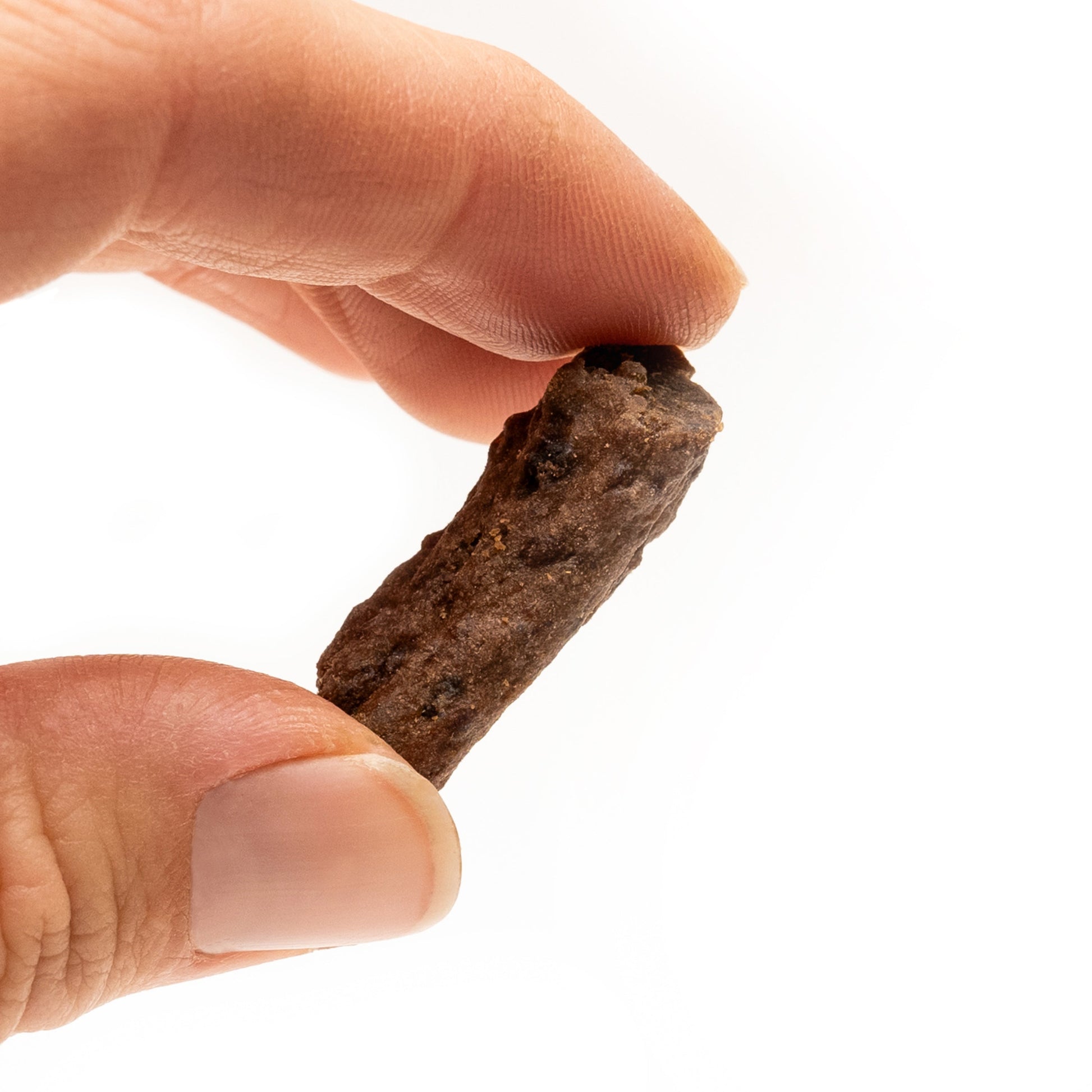 Beef Bites dog treat, made with wholesome ingredients and full of flavor