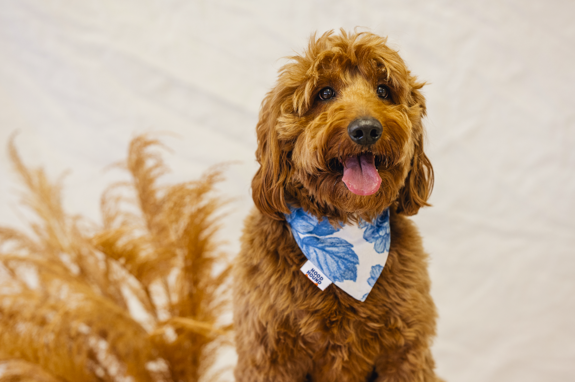 Blue Dream dog bandana from Hood Hound, colorful and durable for pets