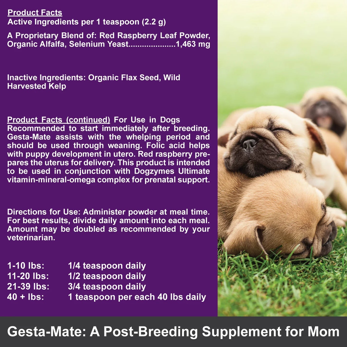 7 - Gestamate - Pregnant Supplement