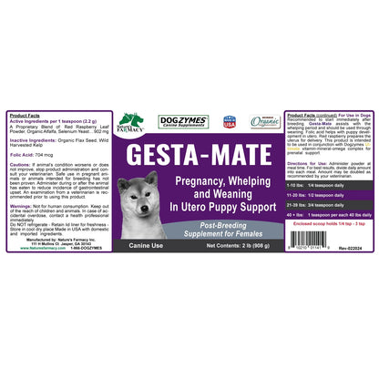 9 - Gestamate - Pregnant Supplement