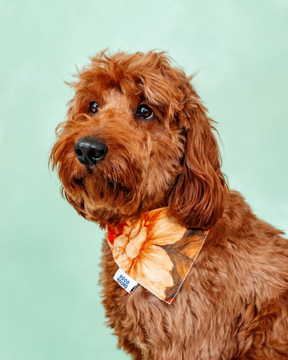 Santa Rosa dog bandana from Hood Hound, stylish and durable for puppies and dogs