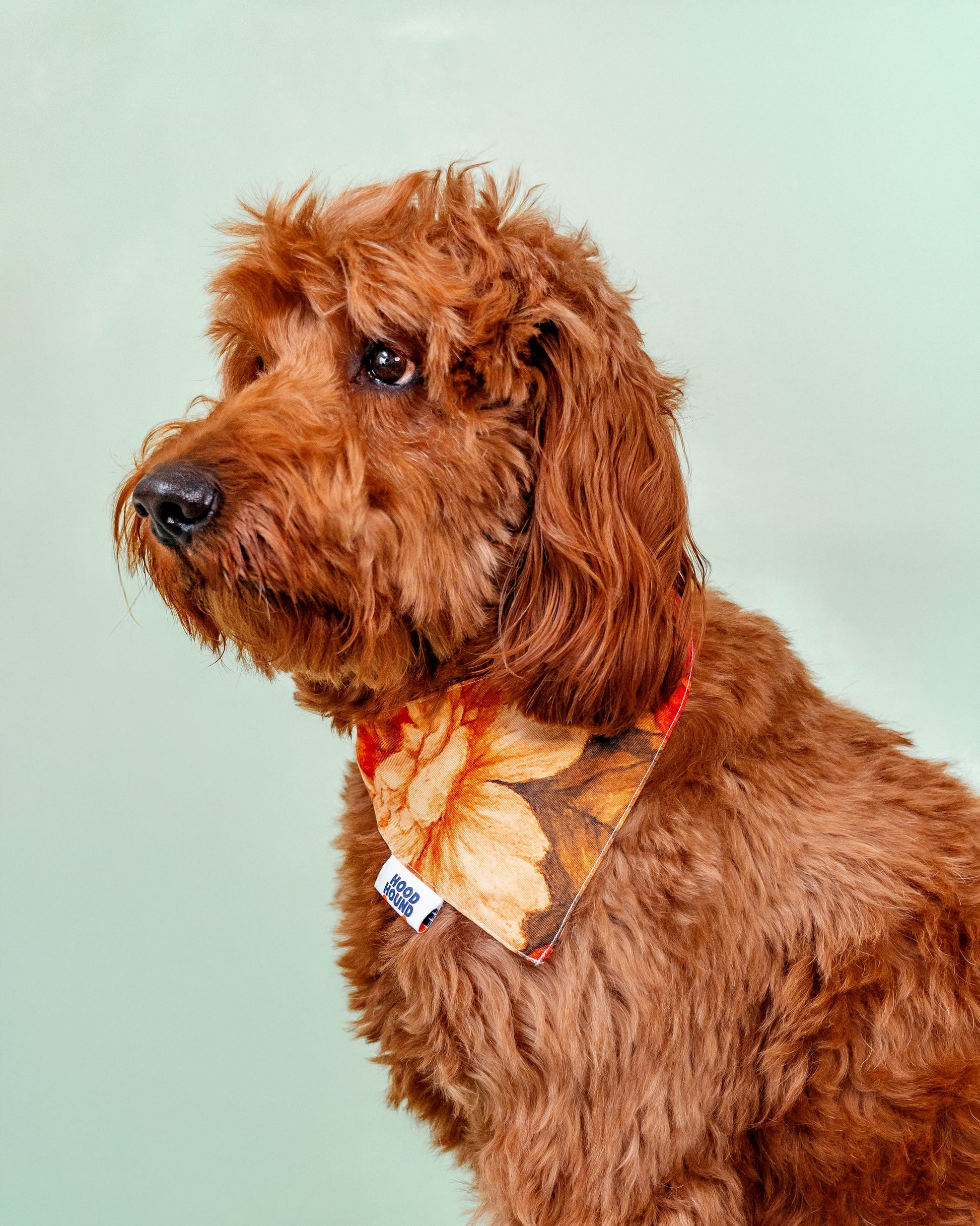 Santa Rosa dog bandana from Hood Hound, stylish and durable for puppies and dogs